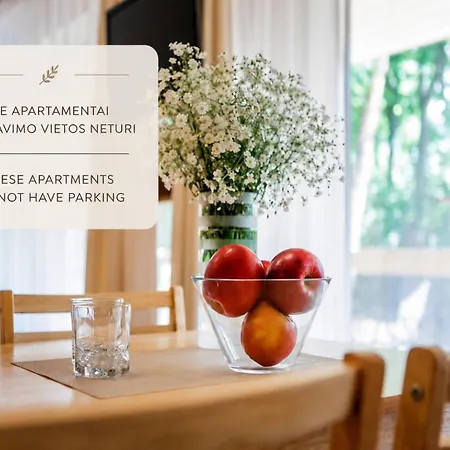 Anbo Apartamento Palanga