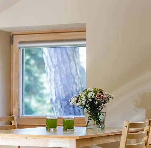 Διαμέρισμα Anbo Παλάγκα